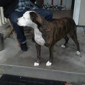 Meet your Posher, Eugene